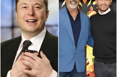 Mel Gibson And Mark Wahlberg Partner With Elon Musk And Invest Between $1 Billion And $3 Billion In A “non-woke” Film Studio Committed To Traditional Family Values