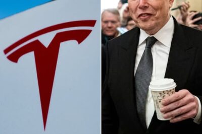 BREAKING NEWS! Elon Musk donates $112 million in Tesla stock to homeless people, with special conditions.