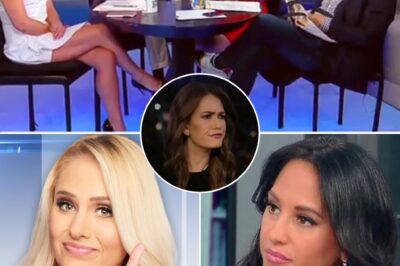 SHOCKING: Fox News Star Emily Compagno Caught in Explosive On-Air Clash—Career in Jeopardy? 😱🔥