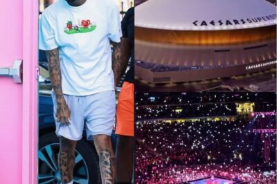Chris Brown Drops a Bombshell on Fans—More Concerts, More Surprises, More Madness!