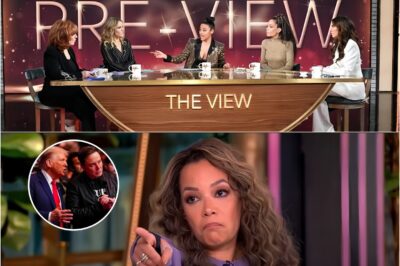TROUBLE ON THE HORIZON! ABC Issues Stern WARNING to ‘The View’ Hosts — What They Did Could Cost Them Everything! ⚠️🔥