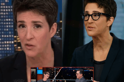 EXPLOSIVE REVELATION: Rachel Maddow Blows the Lid Off MSNBC’s Dirty Secrets—In a Jaw-Dropping Exposé, She Calls Out Network Executives and Unmasks the Shocking Truth Behind Plummeting Ratings! What Rachel Uncovered Has Set the Media World on Fire—And It Could Change Everything You Thought You Knew About MSNBC Forever.