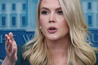 “LIVE TV MELTDOWN: Reporter FIRED IMMEDIATELY After SHOCKINGLY Disrespecting Karoline Leavitt On-Air—Her Savage Yet Calm Clapback SILENCED the Studio and Went Viral, Leaving Viewers Stunned and the Network Scrambling for Damage Control!”