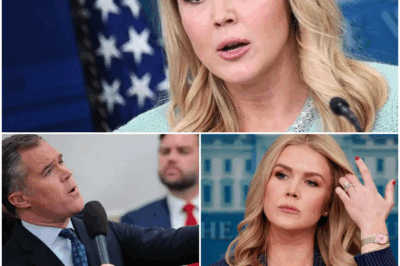 Peter Alexander Stunned After Fiery Clash with Karoline Leavitt — Is His Career on the Line?