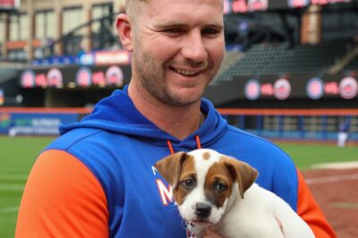 Pete Alonso SWINGS BIG for Shelter Pets—The Home Run King’s Most Unexpected Move Yet Forget the stadium—Pete Alonso’s newest mission is saving lives off the field. Trading bats for barks, he’s launched a heartfelt campaign for homeless animals. But what inspired this sudden passion? And how is it changing the way fans see him? One moment changed everything… and it wasn’t in baseball.
