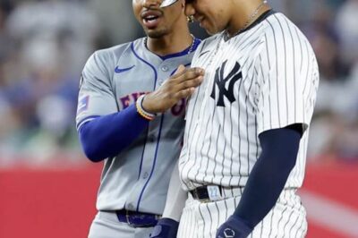 “Just When the Mets Needed Help the Most, This Underrated Prospect Steps Up Big—Now He’s Being Touted as the Savior of the Season and the Solution to the Team’s Most Glaring Weakness”