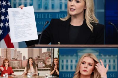 Karoline Leavitt Files Explosive Lawsuit Against The View — Demands Immediate Shutdown After On-Air Humiliation