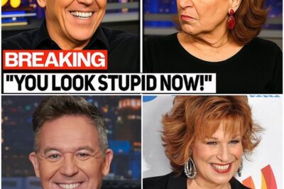 Greg Gutfeld Hilariously Dismantles Joy Behar on Live TV—Audience Left in Stitches
