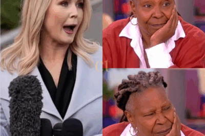 🔥 TV SHOWDOWN: Karoline Leavitt SHUTS DOWN The View Hosts with a Scathing Retort — You Won’t Believe What She Said That Left Whoopi and the Panel Absolutely Speechless! The Unexpected Clash on Live TV Had Fans in Shock. What Set Off This Explosive Moment and How Did It All Go Down?