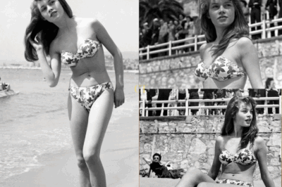 She Was Just 19 When This Stunning Photo Was Taken: Brigitte Bardot in a Floral Bikini on the Sands of Cannes, 1953 — These Rare Images Reveal the Early Glamour of a Star Before She Took Over the World… But Wait Until You See What Happened Next.