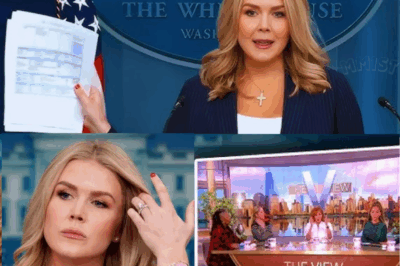 Karoline Leavitt Drops Legal Bombshell on “The View” — Demands Show Be SHUT DOWN After On-Air Humiliation: “Worst Program in American History!”