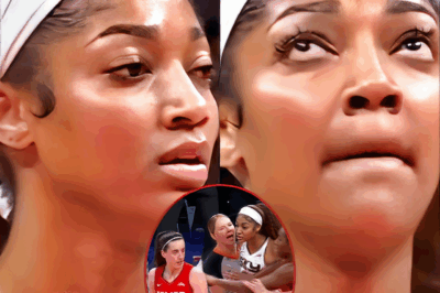New Video Footage Surfaces With “Monkey” Noises Coming From The Crowd In Indiana During Angel Reese’s Free Throws After WNBA Announces Investigation Following Caitlin Clark Incident