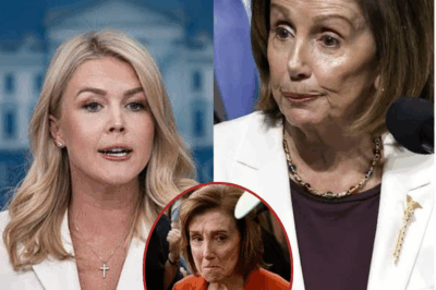 Nancy Pelosi SNAPS After Karoline Leavitt’s Subtle Clapback — And Her Confession Leaves No Doubts