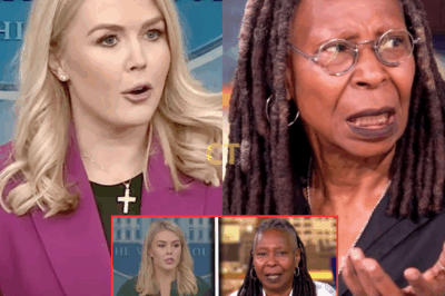 🚨 LIVE TV SHOCKER: Karoline Leavitt calls for a nationwide boycott of ‘The View’ right in front of the cameras!