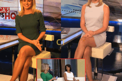 A MOMENT THAT SHOOK FOX NEWS: Sandra Smith’s heartfelt revelation on live television stunned fans and colleagues alike. Her story about the emotional toll of fame is sparking deep conversations online. Why did she choose to open up now—and what did she reveal?