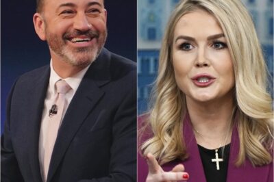 What did Karoline Leavitt say that got her kicked off TV?