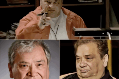 Beloved Sopranos actor Charley Scalies has passed away at 84 after a courageous battle with Alzheimer’s. Fans mourn the loss of a TV legend who brought unforgettable depth and soul to every scene. Rest in peace, Charley.