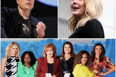 Karoline Leavitt and Elon Musk Drop Bombshell on ‘The View’—Is This Daytime TV’s Final Reckoning? —