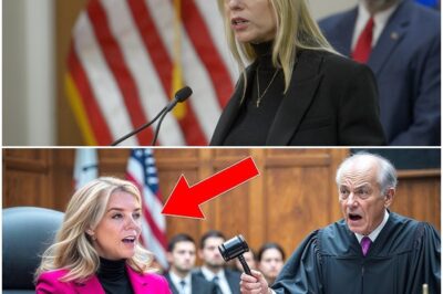 BREAKING: Arrogant Judge MOCKS Pam Bondi in Courtroom Showdown—Then Realizes He Just Made the Worst Mistake of His Career —