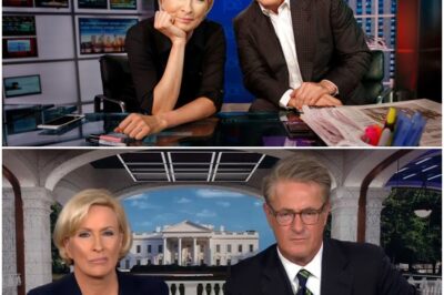 ‘WE COULD BE FIRED TOMORROW’: Morning Joe Drops BOMBSHELL About MSNBC’s Future Amid Comcast Shakeup