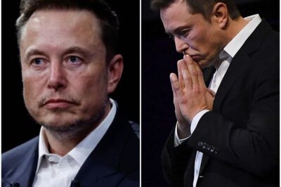 ELON MUSK’S $152 BILLION DISASTER: Tesla Stock CRASHES in One Day—Wall Street in Chaos!