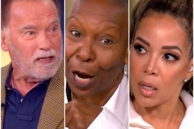 ARNOLD SCHWARZENEGGER STUNS ‘THE VIEW’ WITH ‘BEHAVE LIKE A GUEST’ CALL TO IMMIGRANTS—CHAT SHOW HOSTS SHOCKED!