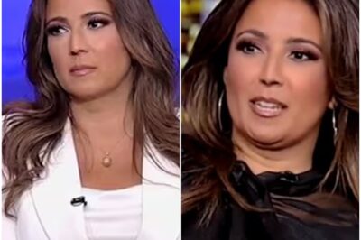 💥 “THAT’S STUPID!” — Fox News Anchor Julie Banderas Sparks LIVE Studio Meltdown With Blunt Marriage Confession That Left America Gasping