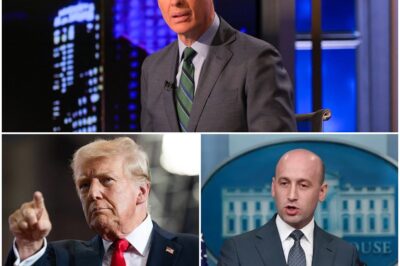 TERRY MORAN BREAKS SILENCE ON ABC NEWS EXIT—DEFENDS COMMENTS ON MILLER & TRUMP