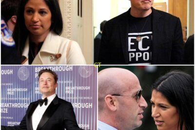STEPHEN MILLER’S WIFE PRESSURED GOVERNMENT TO COVER UP FAKE ELON MUSK FRAUD CLAIM — NY TIMES BOMBSHELL REPORT