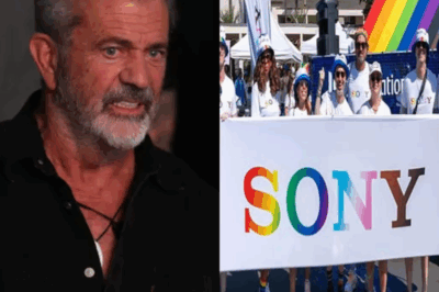 Mel Gibson Rejects PlayStation’s $3M Offer, Calls Pride Movement ‘Dangerous’ to Kids