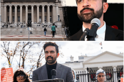 Former Clinton advisor sounds ‘9-1-1’ alarm for Democrats after socialist’s NYC mayoral victory