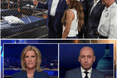 Red states consider ‘Alligator Alcatraz’ spinoffs as WH urges them to follow DeSantis’ lead: ‘Lots of bears’