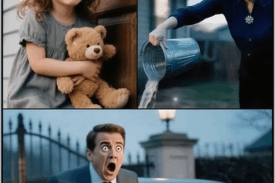 Little Girl Kicked Out By Stepmother After The Funeral Of Father. But Millionaire Ran In And Said…