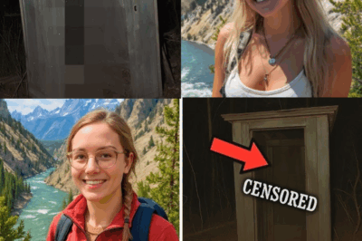 🔥 20 YEARS LATER: COLORADO TOURIST OPENS BOARDED-UP TOILET IN GREAT SMOKY MOUNTAINS — AND WHAT HE FINDS SENDS SHIVERS ACROSS AMERICA! 🔥