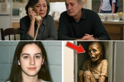 Girl Vanished at a Shopping Mall in 1995 — 12 Years Later Security Finds This…