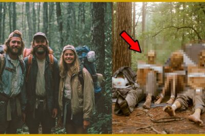3 Tourists Disappeared — Then Found Buried Under Their Own Tent in Carolina Woods.