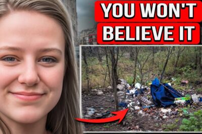 She Mysteriously Vanished From Her Home. 12 Years Later, The SHOCKING Truth Finally Came to Light — What No One Expected Will Leave You Speechless!