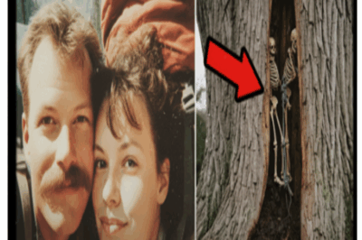 Tourist Couple Vanished in Joshua Park — 7 Years Later Their Bodies Found Inside a Tree..