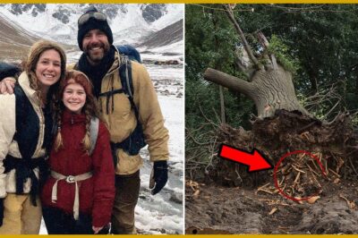 “Family Disappears Without a Trace in Great Smoky Mountains — Nearly a Decade Later, Chilling Remains Unearthed Beneath Fallen Tree!”